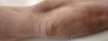 Screenshot 2023-07-03 at 11.52.47.png