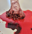 Screenshot 2023-07-03 at 11.52.31.png